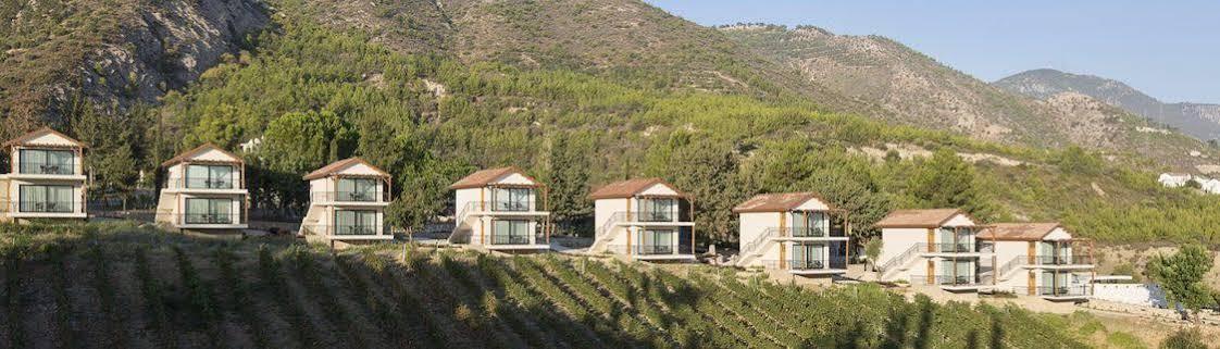 Gillham Vineyard Hotel Templos Esterno foto