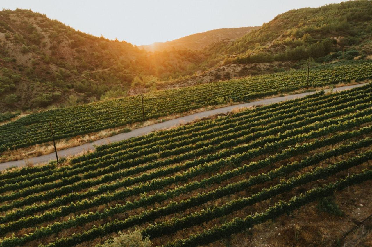 Gillham Vineyard Hotel Templos Esterno foto