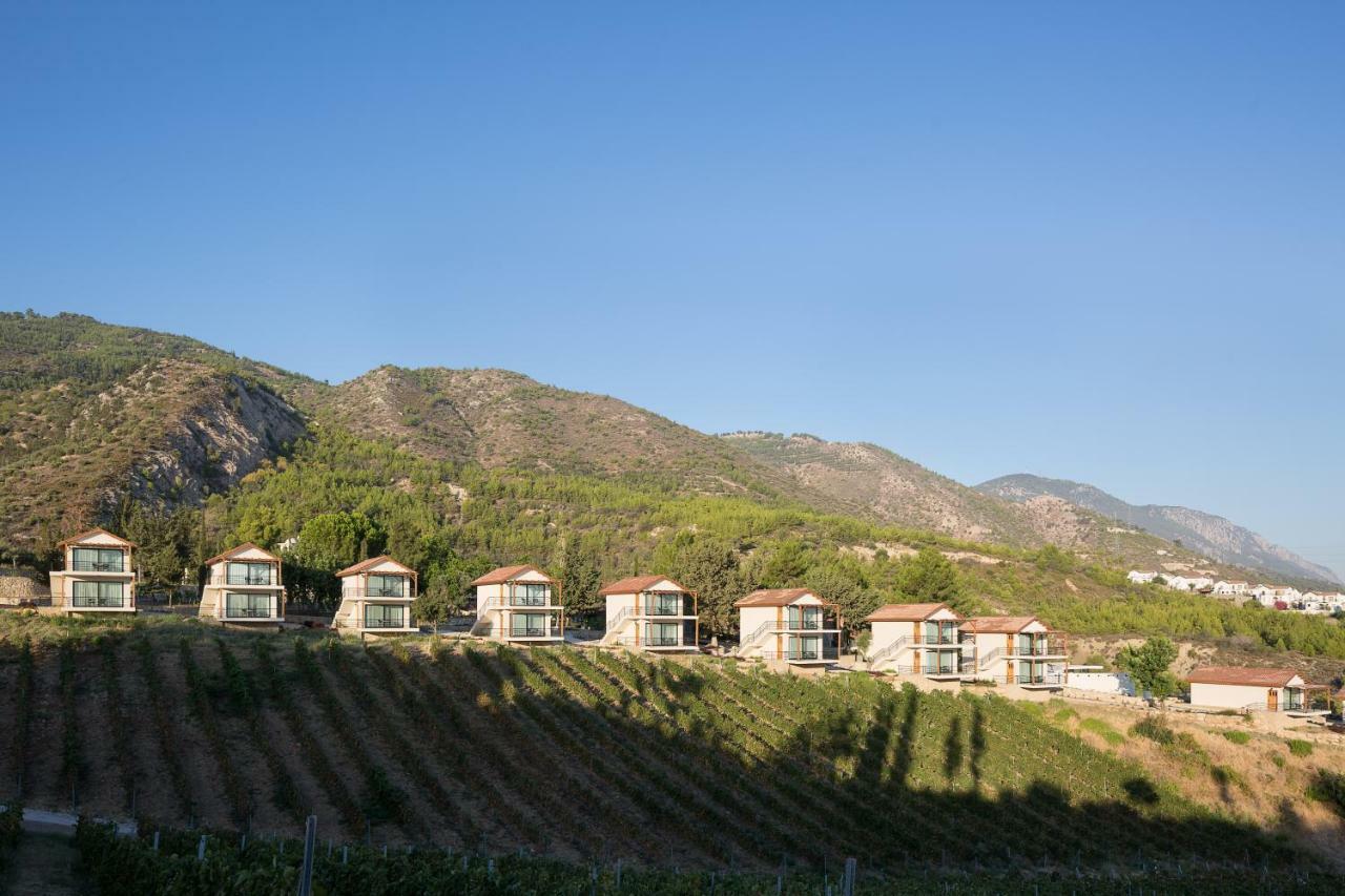 Gillham Vineyard Hotel Templos Esterno foto