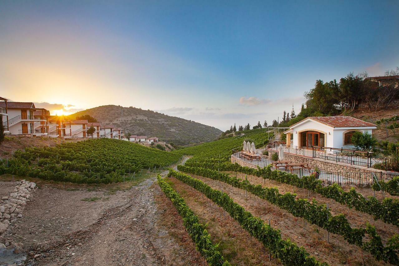 Gillham Vineyard Hotel Templos Esterno foto